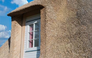 Lowlands thatch roof disadvantages
